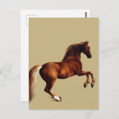 Whistlejacket horse by George Stubbs ポストカード (正面/裏面)