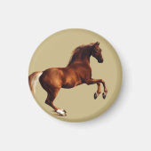 Whistlejacket horse by George Stubbs マグネット (正面)
