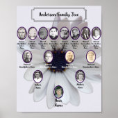 White African Daisy Oval Ancestor Photos ポスター (正面)
