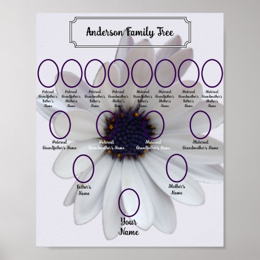 White African Daisy Oval Ancestor Photos ポスター (正面)