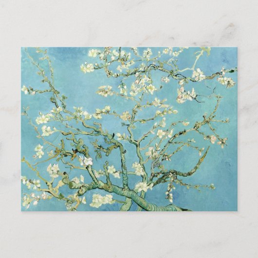 White almond blossom by Vincent Van Gogh ポストカード (正面)