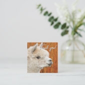 White Alpaca Thank You Discount Business Card スクエア名刺 (スタンド正面)