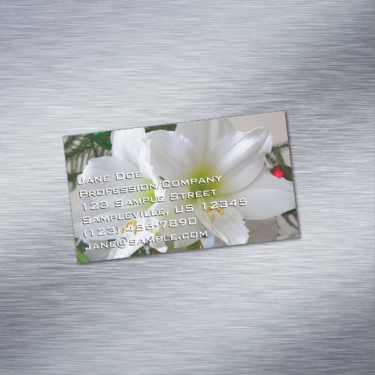 White Amaryllis and Christmas Tree マグネット名刺 (インサイチュ)