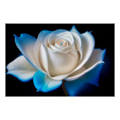 White and Blue Rose ポスター (正面)