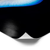 White and Blue Rose ポスター (コーナー)