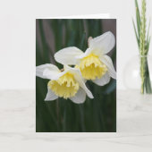 White and yellow Daffodils Greeting Card 案内状 (正面)