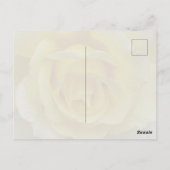 White and Yellow Rose Postcard ポストカード (裏面)