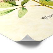 White Bellied Emerald Hummingbird Art Print ポスター (角)