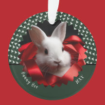 White bunny with red ribbon on green holiday 
