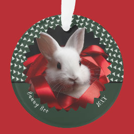 White bunny with red ribbon on green holiday  オーナメント