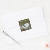 White Butterfly "Be Kind to Animals" ステッカーシート スクエアシール (封筒)