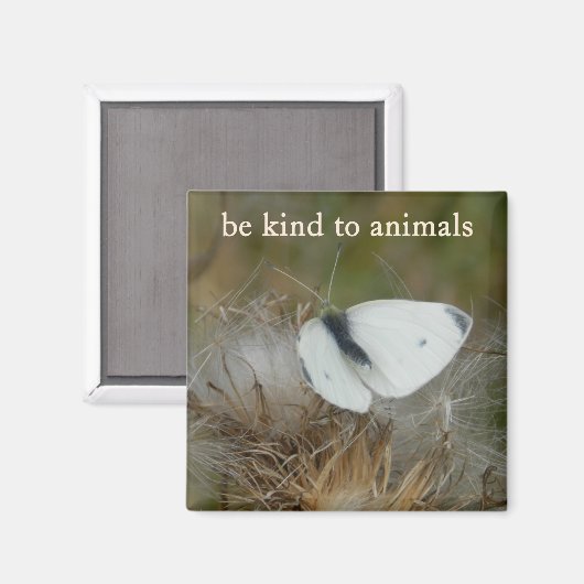 White Butterfly "Be Kind to Animals" Magnet マグネット (正面/裏面)