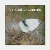 White Butterfly "Be Kind to Animals" Magnet マグネット (正面)