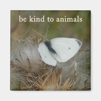 White Butterfly "Be Kind to Animals" Magnet マグネット