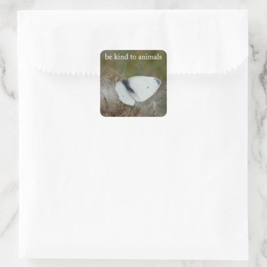 White Butterfly "Be Kind to Animals" Sticker Sheet スクエアシール (バッグ)