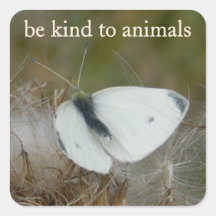 White Butterfly "Be Kind to Animals" Sticker Sheet