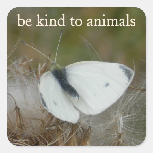 White Butterfly "Be Kind to Animals" Sticker Sheet スクエアシール (正面)