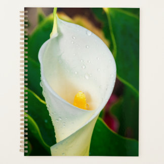White Calla Lily Macro Botanical Photo Nature Art プランナー手帳