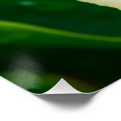 White Calla Lily Macro Botanical Photo Nature Art ポスター (コーナー)