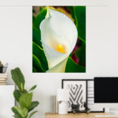 White Calla Lily Macro Botanical Photo Nature Art ポスター (ホームオフィス)