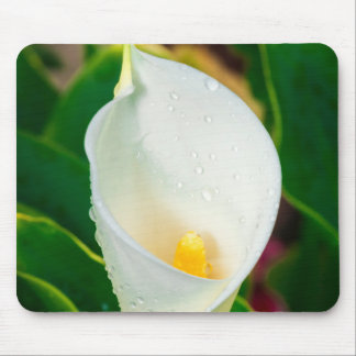 White Calla Lily Macro Botanical Photo Nature Art マウスパッド
