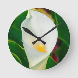 White Calla Lily Macro Botanical Photo Nature Art ラウンド壁時計