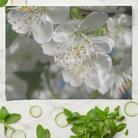 white cherry blossom in spring against a blue sky  キッチンタオル (折り畳み)