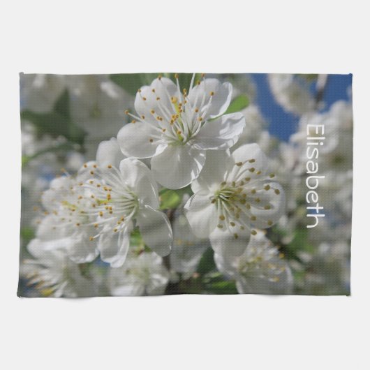white cherry blossom in spring against a blue sky  キッチンタオル (横)