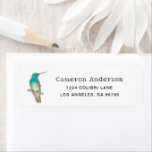 White-chested Emerald Hummingbird ラベル (インサイチュ)