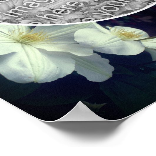 White Clematis Flowers Frame自分の写真を作成 ポスター (角)