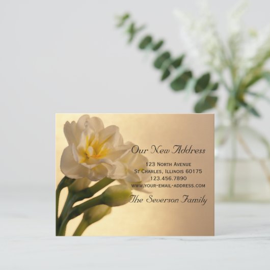 White Daffodilsの新しいアドレスのお知らせ 案内状 (スタンド正面)