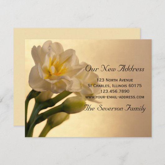 White Daffodilsの新しいアドレスのお知らせ 案内状 (正面/裏面)