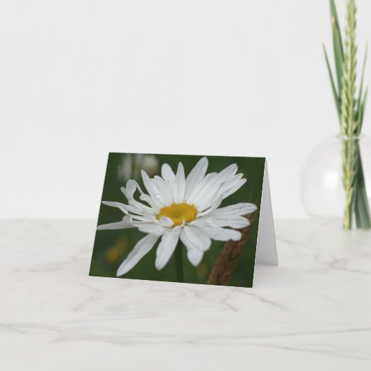 White Daisy Flower Photography Note カード (正面)
