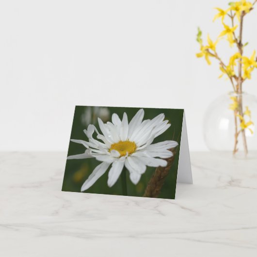 White Daisy Flower Photography Note カード (黄色い花)