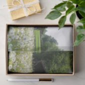 White Dandelions Supporting a Tired Looking Barn 薄葉紙 (ギフト)