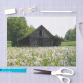 White Dandelions Supporting a Tired Looking Barn 薄葉紙 (クラフト)