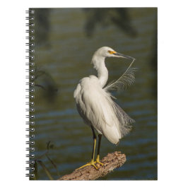 White Egret Spiral Photo Notebook ノートブック