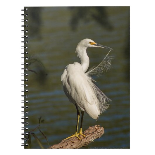 White Egret Spiral Photo Notebook ノートブック (正面)