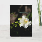 White Elegant Flower Greeting Card 案内状 (正面)