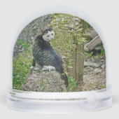 White -faced  black kitty (裏面)