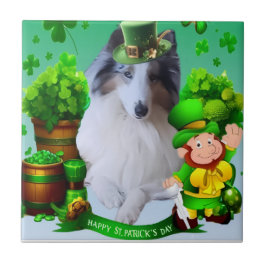 White factor Merle Headed Rough Collie  タイル