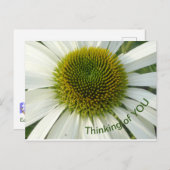 White Flower 考え's of YOUポストカード ポストカード (正面/裏面)