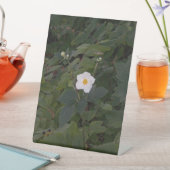 White Flower Photo 台座サイン (インサイチュ)