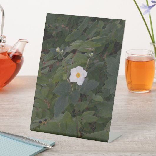 White Flower Photo 台座サイン (インサイチュ)