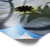 white flowers フォトプリント            (角)