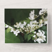 White Flowers Hydrangea Photo,  オールインワン招待状 (裏面)