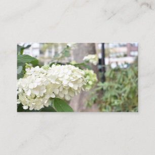 White Flowers New York Architectureフローラ写真 名刺