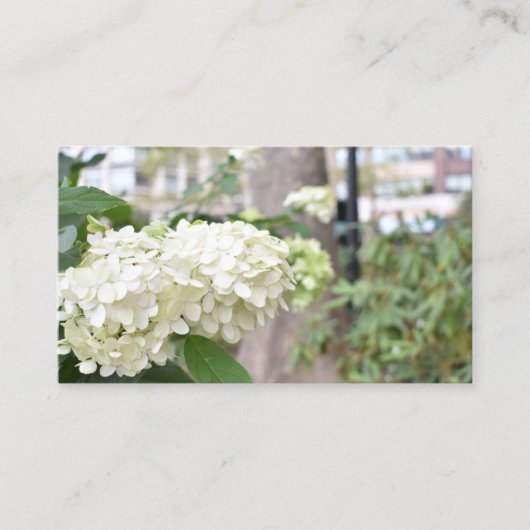 White Flowers New York Architectureフローラ写真 名刺 (正面)