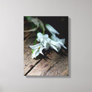 White Flowers On A Bench Canvas Print キャンバスプリント