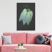 White Fritillary Flower Canvas Print キャンバスプリント (インサイチュ (リビング))